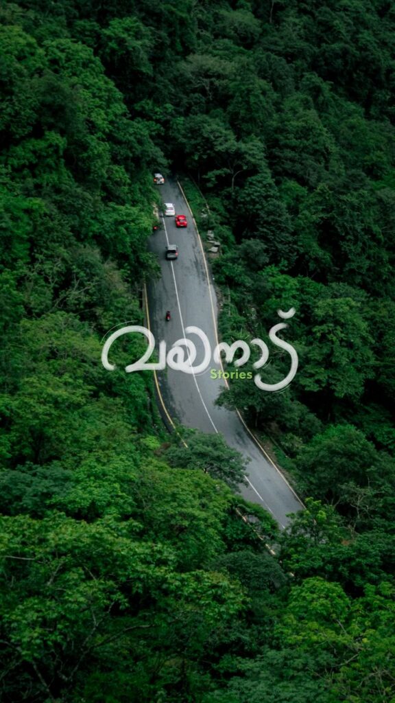 { pinterestid: 190777 }